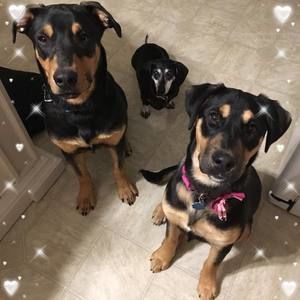 Meet your Posher, Phyllis